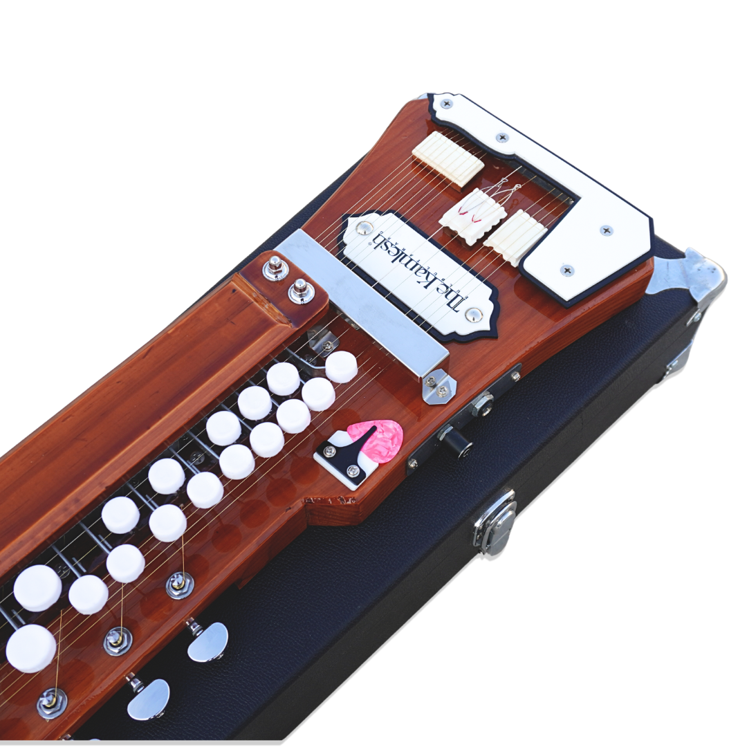 THE KAMLESH® TKB29 Bulbul Tarang with HardCase | NATURAL BROWN
