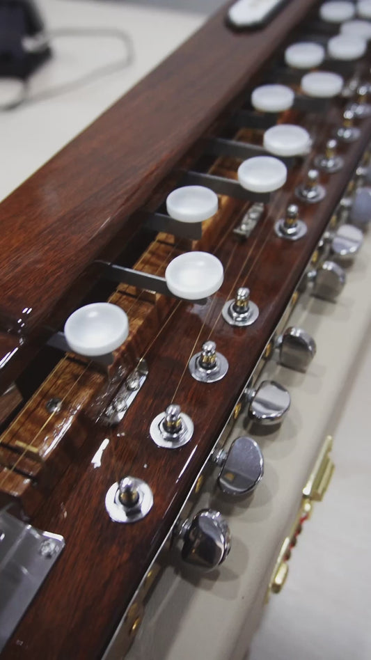 THE KAMLESH® Super Deluxe Banjo - 29 Keys, 14 Strings